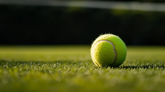 Introdução ao Esporte Bet e ao Tênis Adidas Masculino